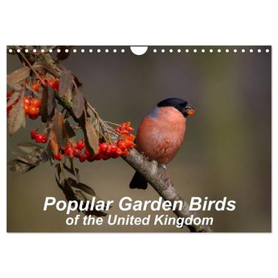 Popular garden birds of the united kingdom (Wall Calendar 2026 DIN A4 landscape), CALVENDO 12 Month Wall Calendar