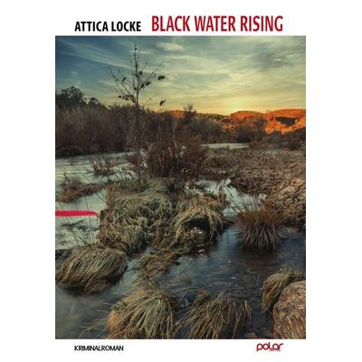 Black Water Rising, Gebundene Ausgabe von Attica Locke, Polar Verlag, 978-3-948392-40-6