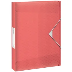 Leitz, Mappe, Ablagebox (A4, 1x)