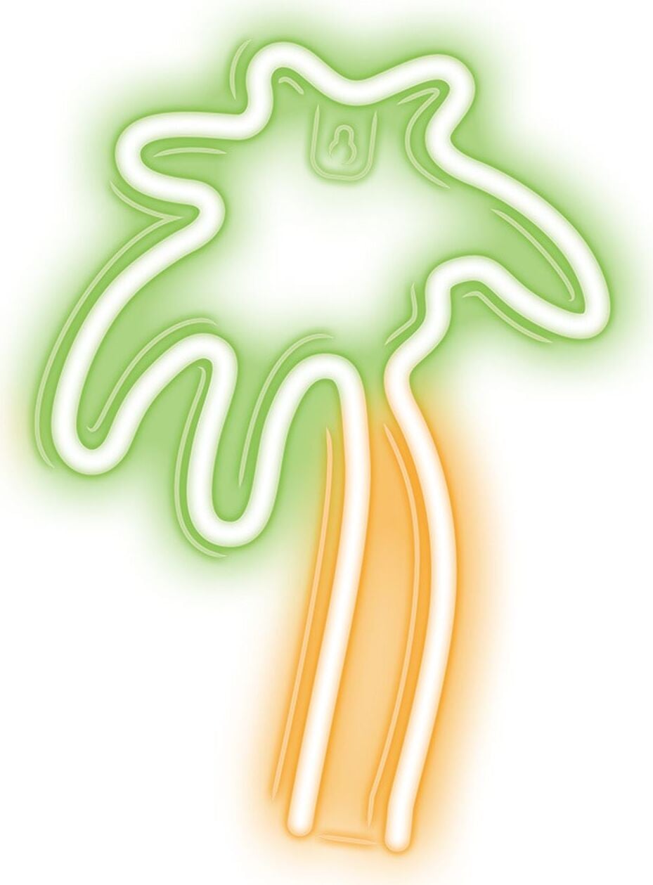 Forever Light Neon LED-lamp PALM, decoratieve lichtfiguur in groen en oranje met USB-aansluiting
