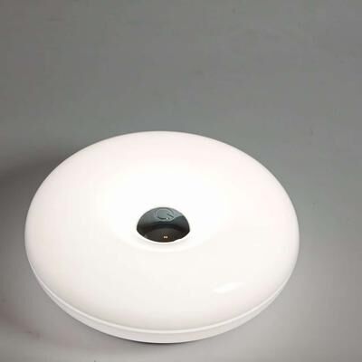 Friendly Fresh Finds Donut LED Table Lamp Portable Rechargeable Ambient Light With Dimming And Color Modes white