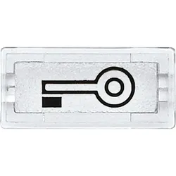 Merten 395769 Symbole, rechteckig, Schlüssel, glasklar