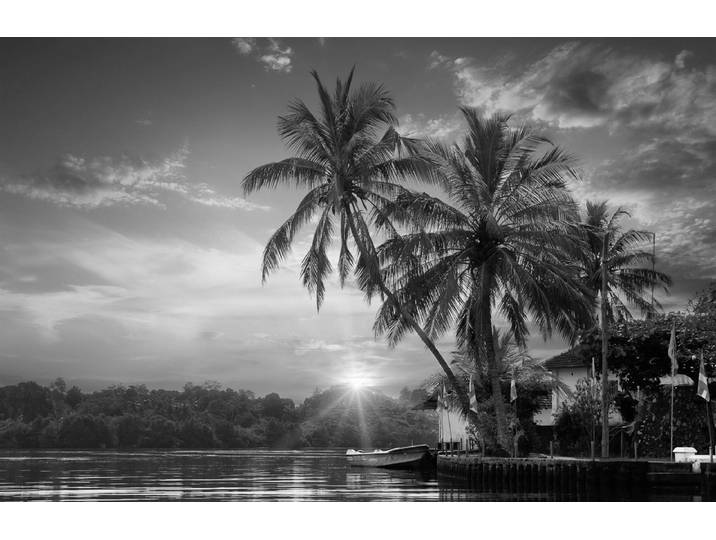 Papermoon PALMEN-STRAND-BEACH DSCHUNGEL MEER SEE KARIBIK SÜDSEE