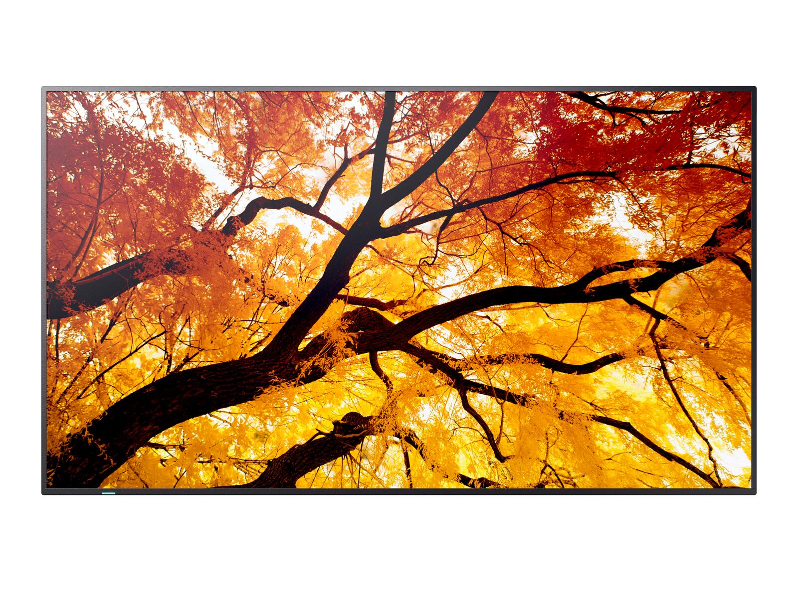 Sharp Display Solutions Sharp MultiSync M552 Digital Signage Display 139,7 cm 55 Zoll PNM552