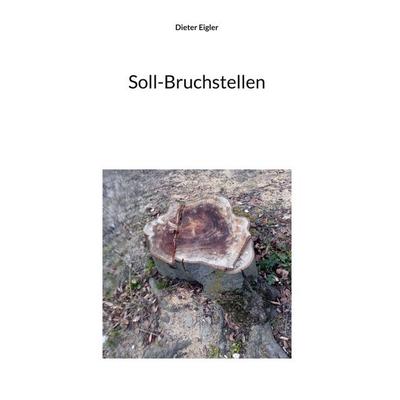 Soll-Bruchstellen, Gebundene Ausgabe von Dieter Eigler, BoD – Books on Demand, 978-3-695-16927-6