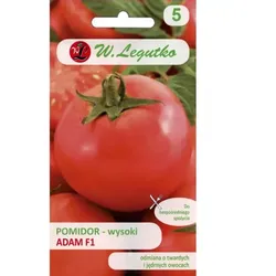 Hochwachsende Freilandtomate Adam F1 – die Früchte sind bis zu 3 Wochen haltbar.
