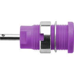 Schützinger DI SEB 6525 Ni / PVI Sicherheits-Einbaubuchse Violett 1 St. Piece