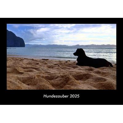 Hundezauber 2025 Fotokalender DIN A3