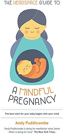 Andy Puddicombe - The Headspace Guide To...A Mindful Pregnancy (Headspace Guides) - Preis vom 14.10.2026 23:07:16 h