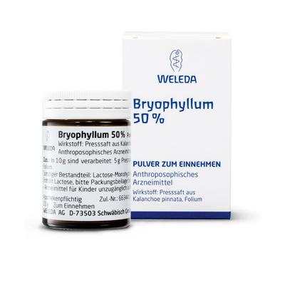Bryophyllum 50% Pulver zum Einnehmen 50 g