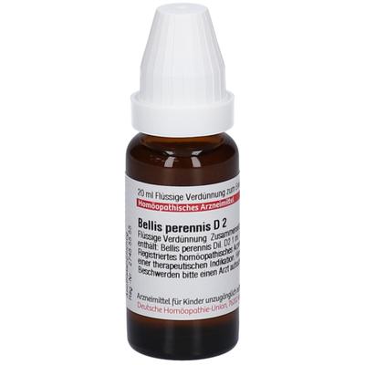 Bellis Perennis D 2 Dilution 20 ml