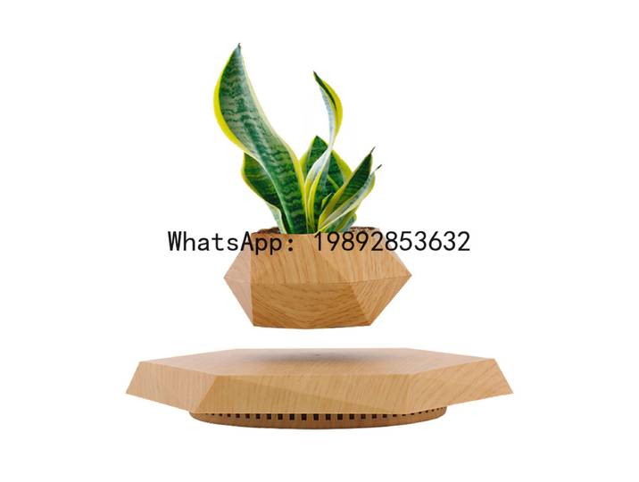 PYJ Maglev Plante en pot, Artisanat créatif de bonsaï, Nouveauté et originalité pour la décoration intérieure