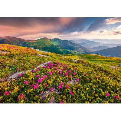 Fototapete PAPERMOON "BLUMEN-NATUR LANDSCHAFT BERGE GEBIRGE ALPEN LAVENDEL", bunt, B:3m L:2,23m, Vlies, Tapeten