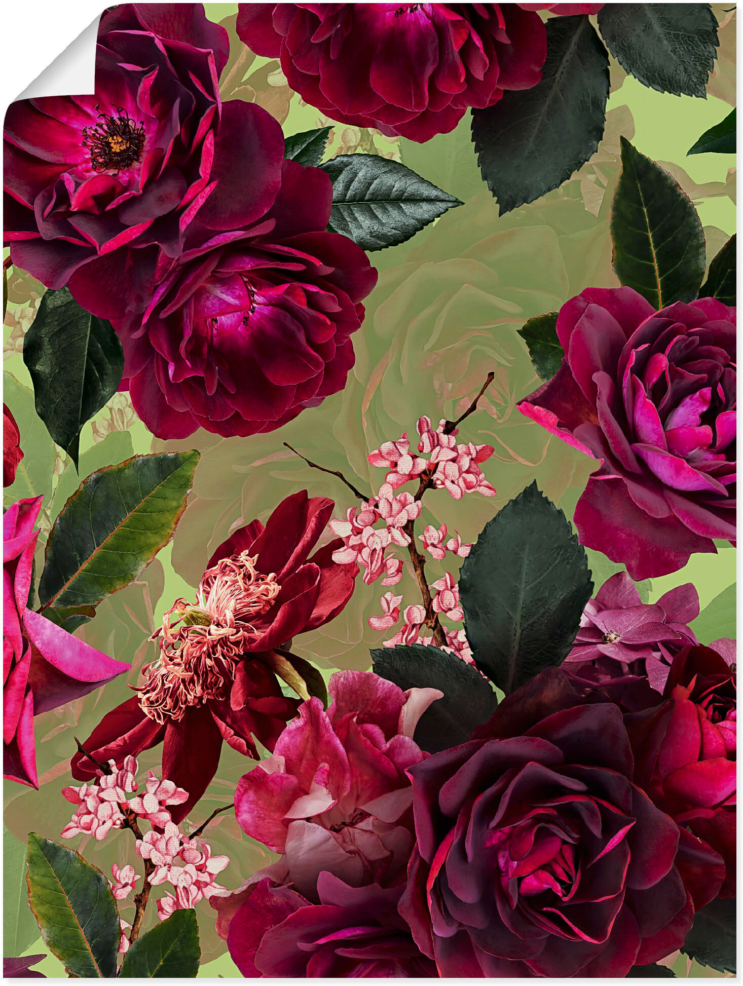 Poster ARTLAND "Dunkle Rosen auf Grün", pink (farbe bild(er): pink), B:30cm H:40cm, Bilder, Poster, ohne Rahmen farbe bild(er): pink B/H/T: 30cm x 40cm, Poster Blumenbilder Hochformat, 1 Stk.