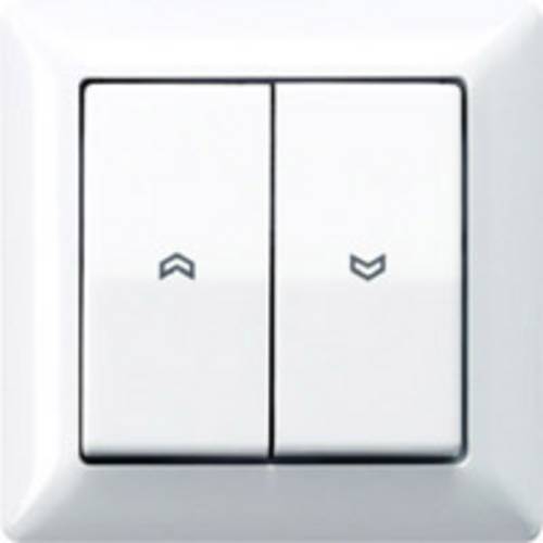 Jung Abdeckung Symbole aws AS 590-5 P WW