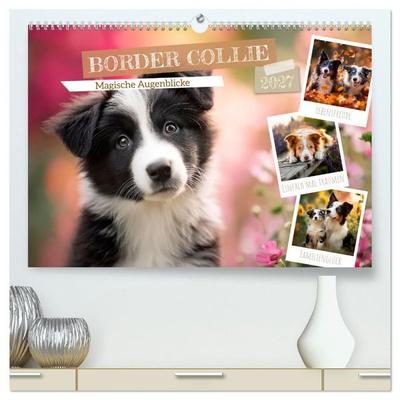 Border Collie - Magische Augenblicke (hochwertiger Premium Wandkalender 2027 DIN A2 quer), Kunstdruck in Hochglanz