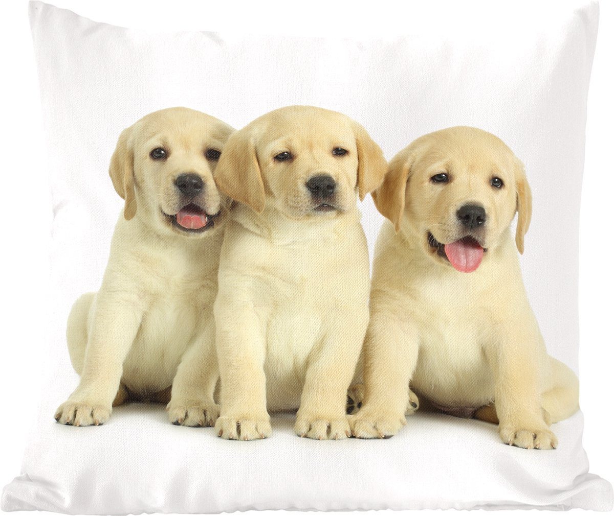 Sierkussens met Labrador Retriever puppy's - 45 x 45 cm