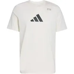ADIDAS Herren Shirt CLIMACOOL Category Training Graphic, Größe M in Beige Beige