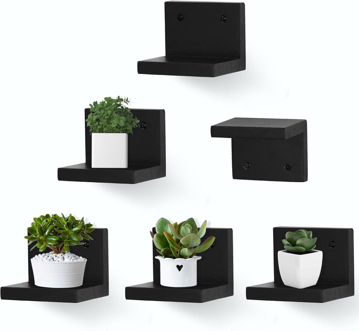 Zelora Set van 6 kleine zwevende wandplanken voor decoratie en verzamelobjecten