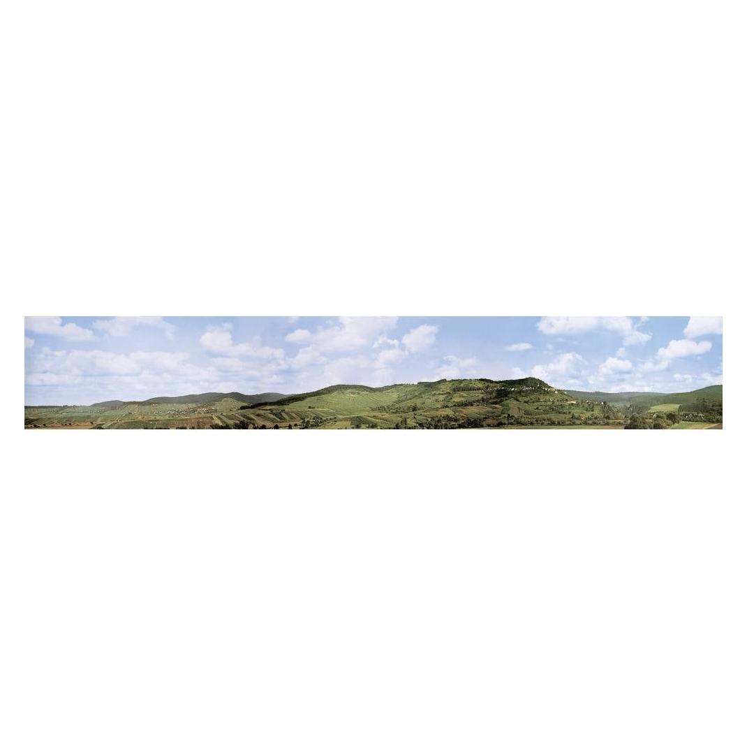 Faller H0 Modellbahn Hintergrund Löwe (180515)
