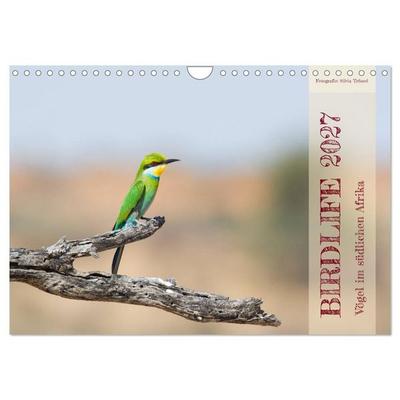 Birdlife - Vögel im südlichen Afrika (Wandkalender 2027 DIN A4 quer), CALVENDO Monatskalender