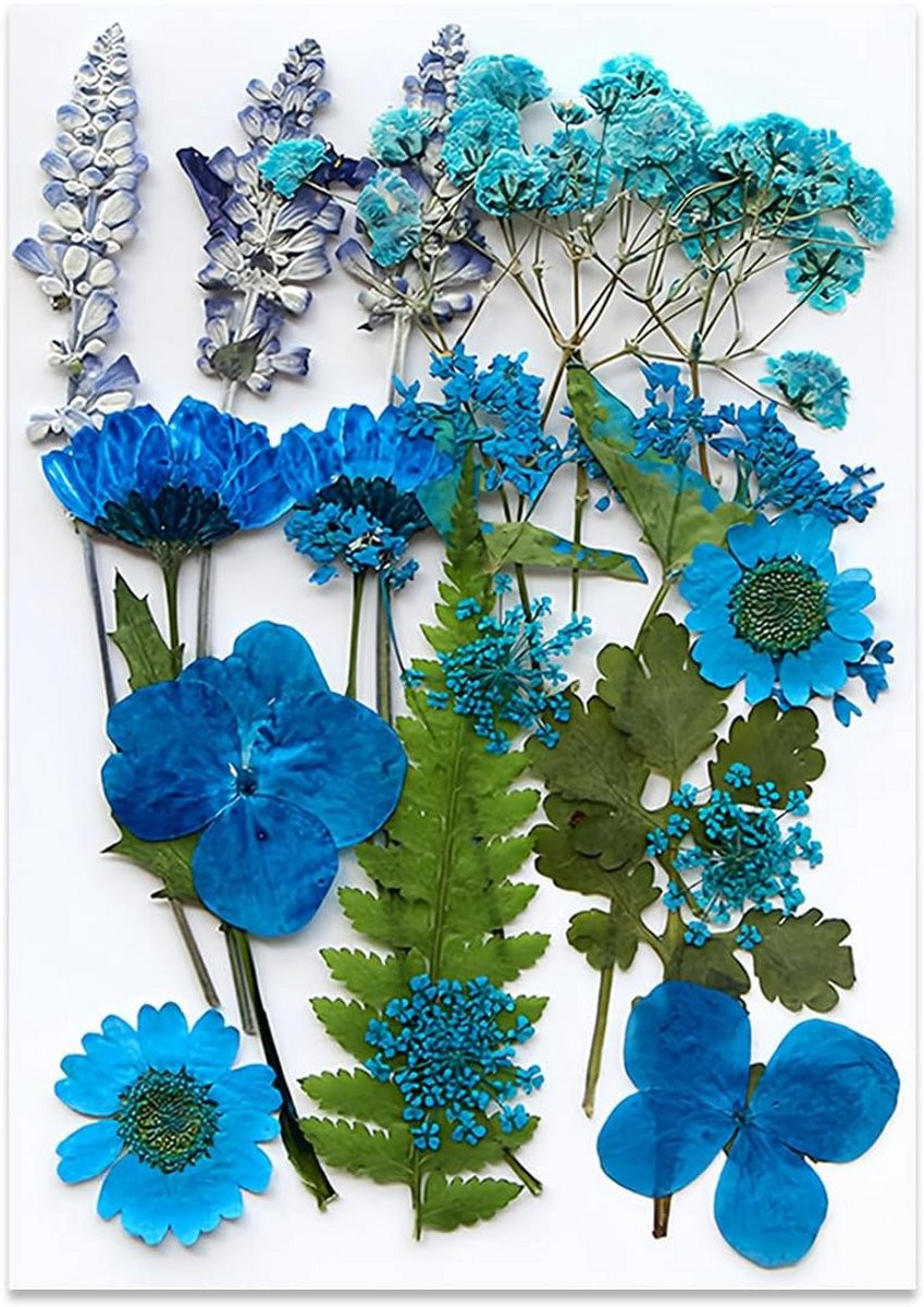 Gedroogde Bloemen Natuurlijke Decoratie Blauw 18 Stuks