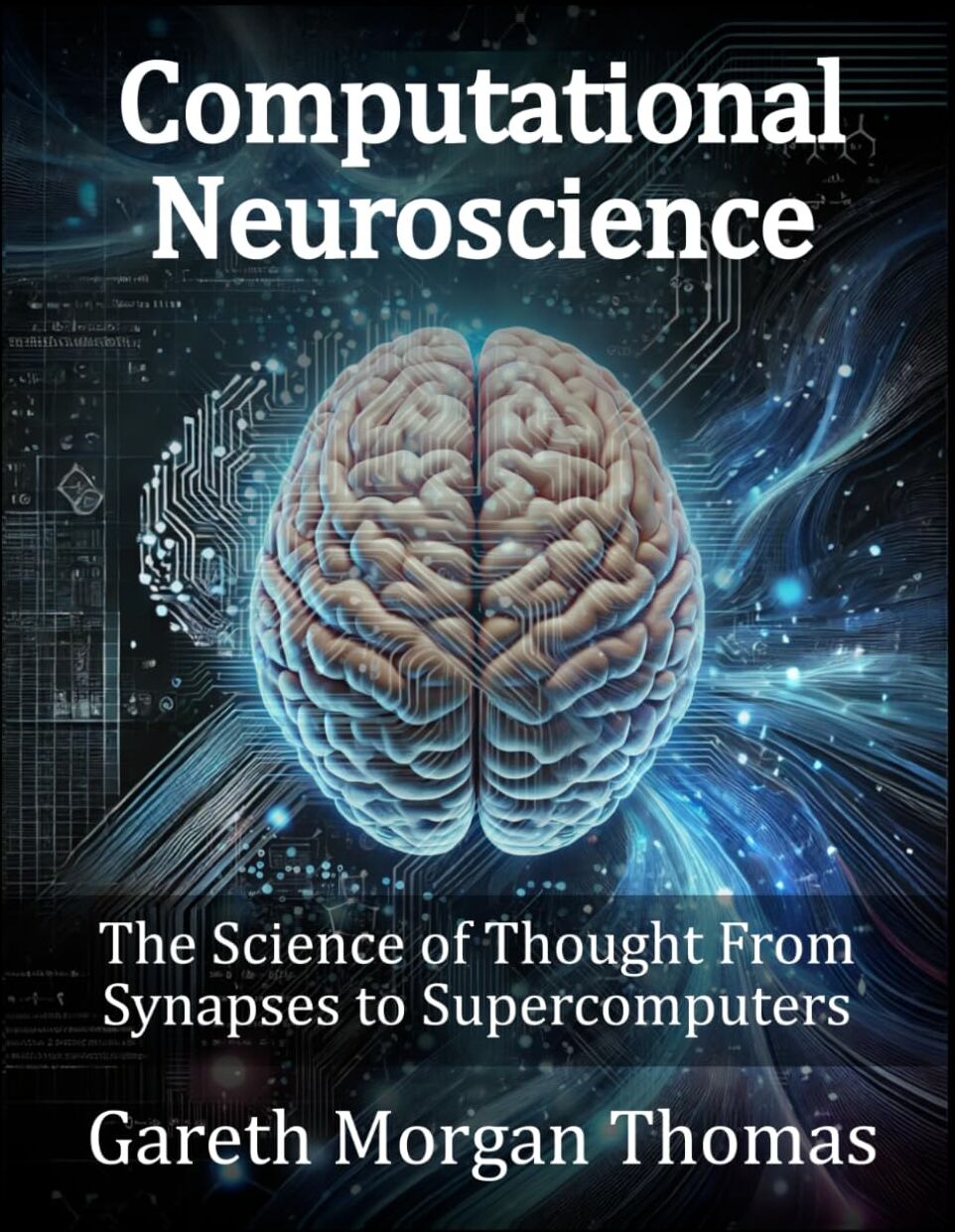 Computational Neuroscience: The Science of Thought From Synapses to Supercomputers (Cognitive Computation & Engineering Series) - Preis vom 09.10.2026 07:28:09 h