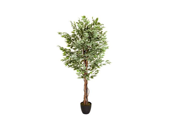 KUNSTPFLANZE FICUS