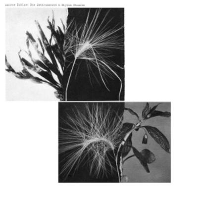 New Environments & Rhythm Studies - Andrew Pekler, Vinyl