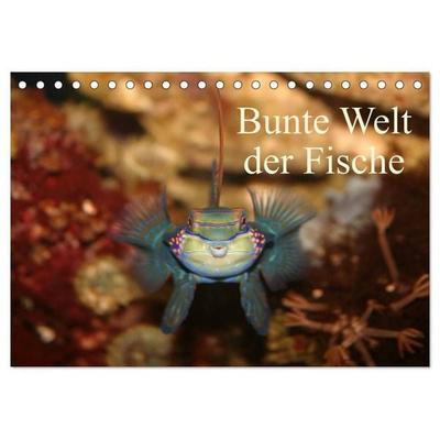 Bunte Welt der Fische (Tischkalender 2027 DIN A5 quer), CALVENDO Monatskalender