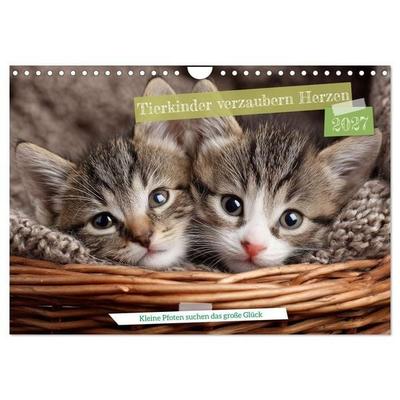 Tierkinder verzaubern Herzen (Wandkalender 2027 DIN A4 quer), CALVENDO Monatskalender