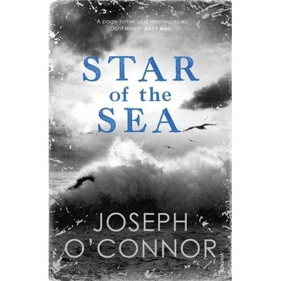 Star of the Sea, Taschenbuch von Joseph OConnor, Vermilion