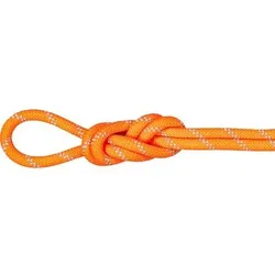 MAMMUT Bergseil 9.5 Alpine Dry Rope 60m, Größe 60 in Orange Orange