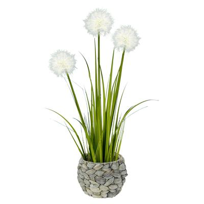 Kunstpflanze I.GE.A. "Pusteblumegras in Wasserhyazinthentopf", weiß, B:17cm H:56cm T:17cm, Kunststoff, Polyester, Kunstpflanzen, Kunstpflanze