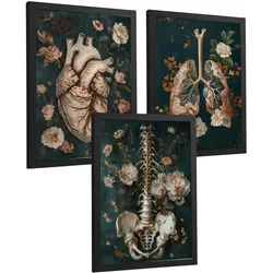 POSTER Set aus 3 Anatomie Mensch Drucke und Wandbilder mit Herz Atmungssystem und Skelett Botanischer Stil Wanddekoration Größe Schwarzer Rahmen A4