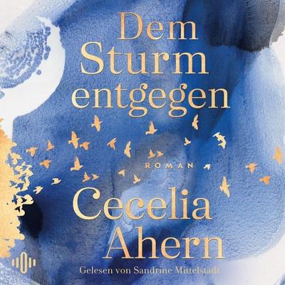 Dem Sturm entgegen - Cecelia Ahern, Audio, 9783869525570