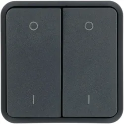 Hager WNT964 Wippe 2fach für Taster BA AP,Bedruckung, oben 0/unten 1, W.1 IP55, grau