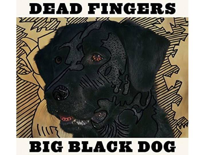 Big Black Dog