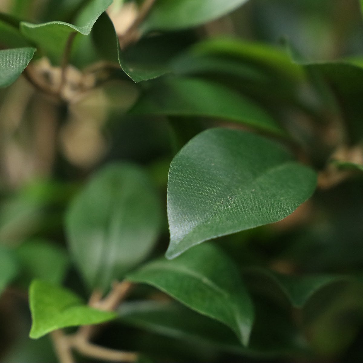 Maxifleur Ficus Folia kunstplant op stam, 75 cm