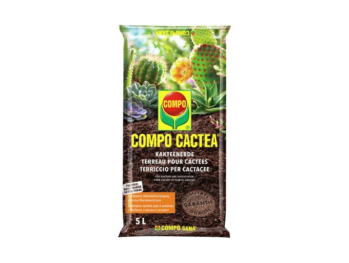 Compo Cactea Kakteenerde 5L