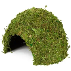 Hobby Jungle Cave - Höhle für Terrarien - Gr. 2