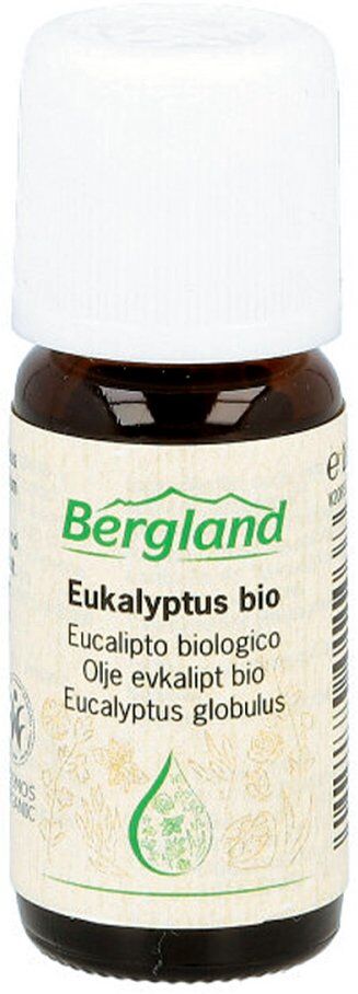 Eukalyptus öl Bio 10ml