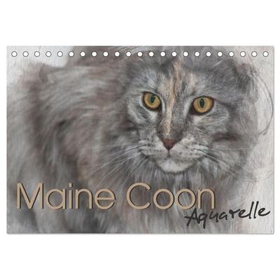 Maine Coon Aquarelle (Tischkalender 2027 DIN A5 quer), CALVENDO Monatskalender