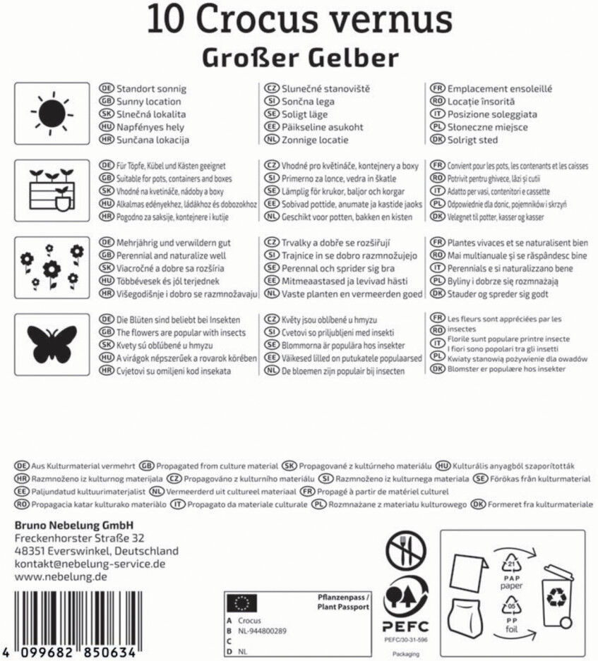 Kiepenkerl Herbstblumenzwiebel Großblumiger Krokus Großer Gelber 10 Stück