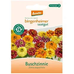 Buschzinnie - Zinnia angustifolia