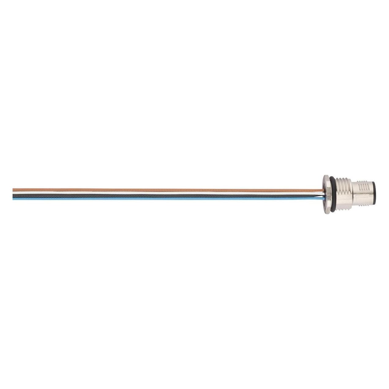 Lapp AB-C4-DSI-M12MS-PG9-0,5 (22260117)