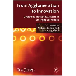 From Agglomeration to Innovation, Fachbücher von M. Tsuji, A. Kuchiki