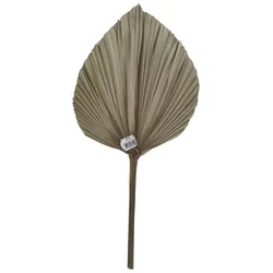 Dekoblatt Leaf in Naturfarben