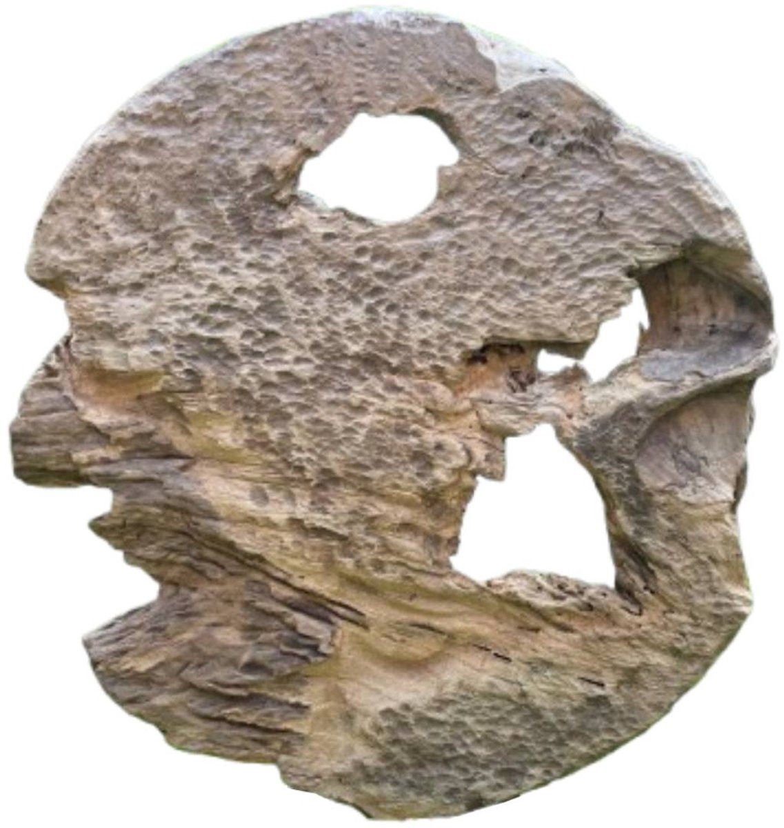 PTMD Roch Natuurlijk Teak Houten Wandpaneel Rond S