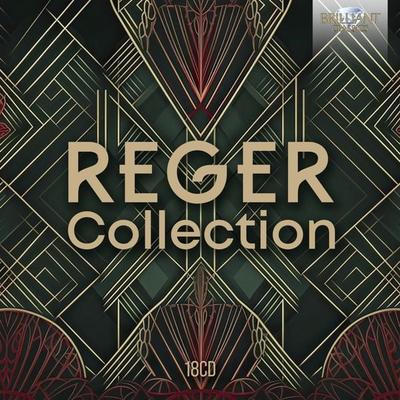 Various: Reger Collection(18CDs) - Various, CD